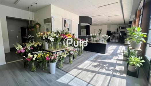 Acheter Immeuble Courrieres 489900 euros