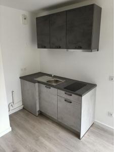 For rent Echirolles 1 room 36 m2 Isere (38130) photo 0