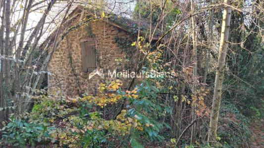 Acheter Maison 48 m2 Rouffiac