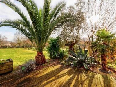 For sale Faye-sur-ardin 5 rooms 134 m2 Deux sevres (79160) photo 2