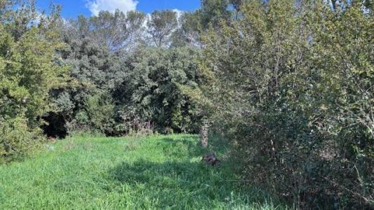 Acheter Maison 120 m2 