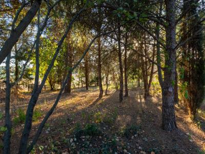 Acheter Maison  Gard