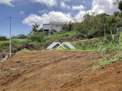 For sale Chaloupe 736 m2 Reunion (97416) photo 0