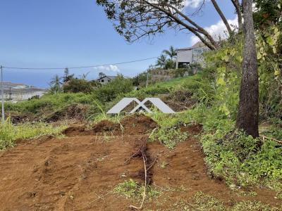 For sale Chaloupe 736 m2 Reunion (97416) photo 1