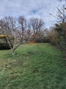 Acheter en viager Maison Feldkirch Haut rhin
