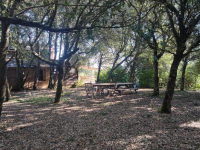 Acheter Maison Malvies 299000 euros