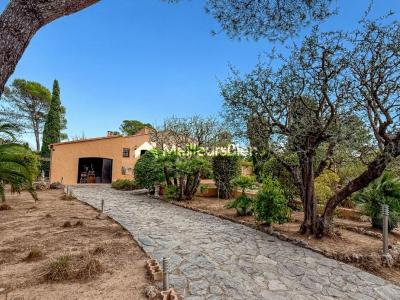 Annonce Vente 6 pi�ces Maison Saint-raphael 83