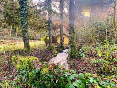 Annonce Vente Terrain Willer-sur-thur 68