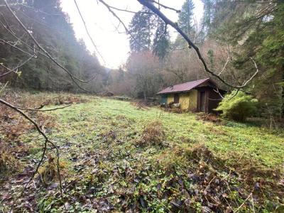 Acheter Terrain 3197 m2 Willer-sur-thur