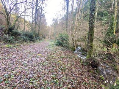 Acheter Terrain Willer-sur-thur Haut rhin