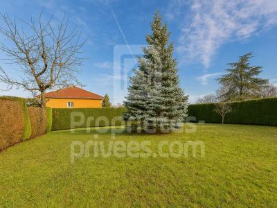 For sale Sainte-foy-les-lyon 5 rooms 203 m2 Rhone (69110) photo 3