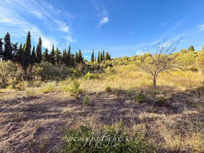 Annonce Vente Terrain Limoux 11