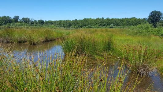 Annonce Vente Prestige Brinon-sur-sauldre 18