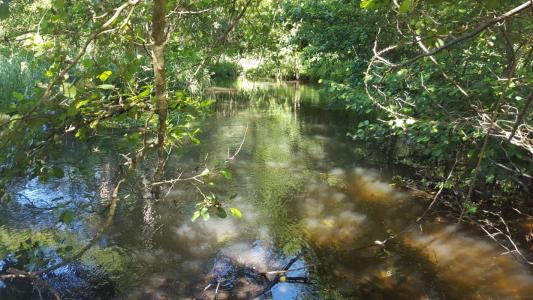 Acheter Prestige Brinon-sur-sauldre Cher