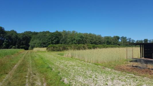 Acheter Prestige Brinon-sur-sauldre 2014000 euros