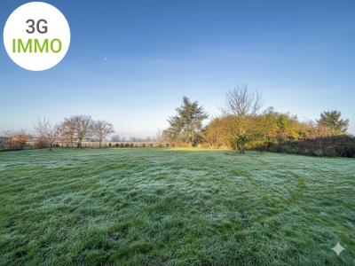 Acheter Maison Saint-didier-sur-chalaronne 445000 euros