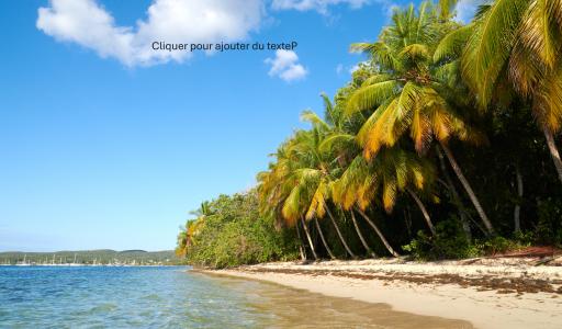 Acheter Terrain Grand-bourg Guadeloupe