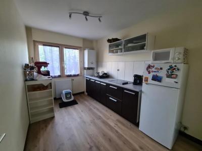 Louer Appartement 56 m2 Guipavas