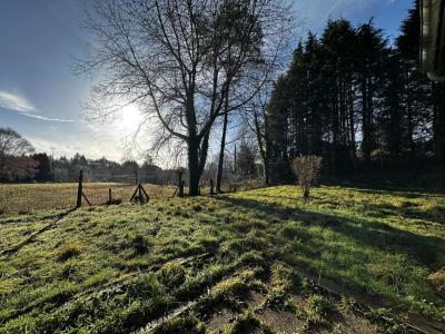 Annonce Location 4 pi�ces Maison Vitrac-sur-montane 19