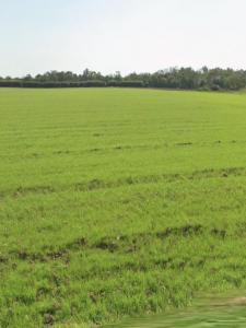 For sale Angliers 335 m2 Charente maritime (17540) photo 0