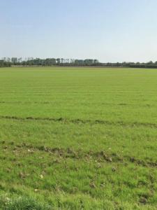 Annonce Vente Terrain Angliers 17