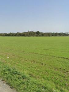 Acheter Terrain 335 m2 Angliers