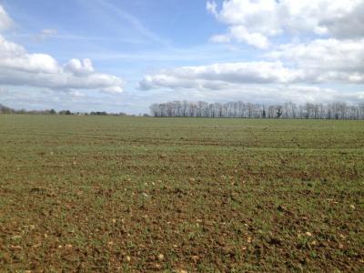 For sale Maltot 395 m2 Calvados (14930) photo 0