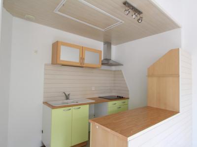 For rent Pont-saint-martin 2 rooms 44 m2 Loire atlantique (44860) photo 0