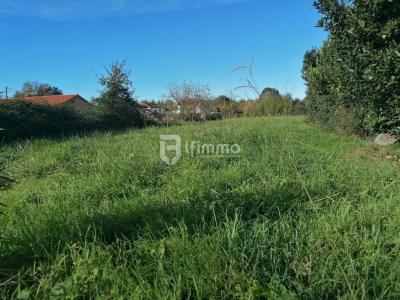 Annonce Vente Terrain Rabastens-de-bigorre 65