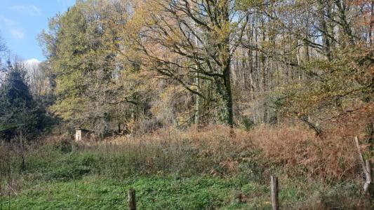 For sale 4 rooms 173 m2 Haute vienne (87130) photo 2