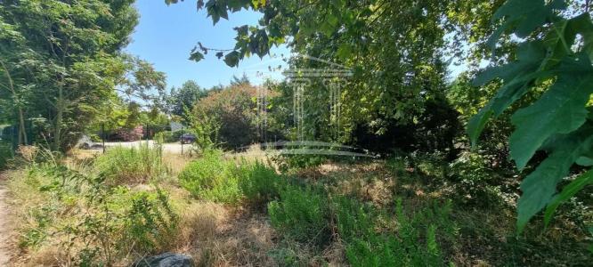 Annonce Vente Terrain  84