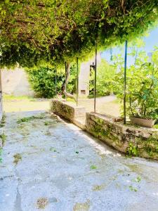 For sale 7 rooms 120 m2 Vaucluse (84290) photo 3