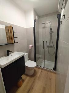 For rent Nice 1 room 20 m2 Alpes Maritimes (06100) photo 4