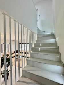 Acheter Maison Chassieu Rhone