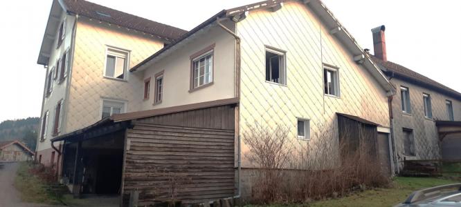 Annonce Vente Immeuble Xonrupt-longemer 88