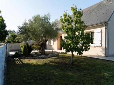 For sale Notre-dame-d'oe 3 rooms 100 m2 Indre et loire (37390) photo 0