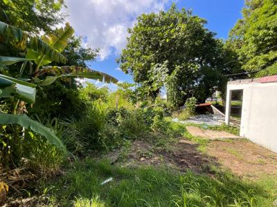 Annonce Vente Terrain Basse-terre 971