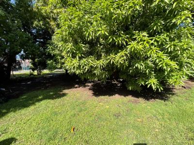 Acheter Terrain 424 m2 Basse-terre