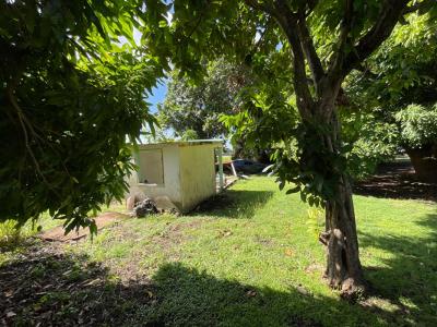 Acheter Terrain Basse-terre Guadeloupe