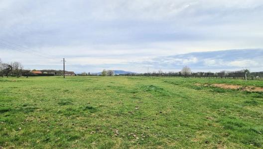For sale Rougegoutte 1175 m2 Belfort (90200) photo 0
