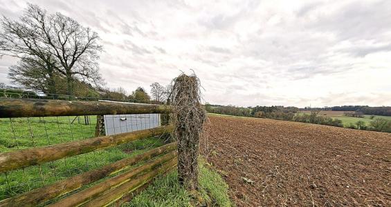 Annonce Vente Terrain Reguiny 56