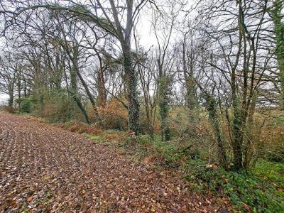 Acheter Terrain 25150 m2 Reguiny