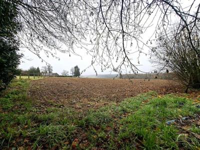 Acheter Terrain Reguiny Morbihan