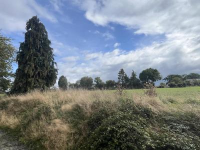 For sale Tinchebray 5 rooms 75 m2 Orne (61800) photo 2