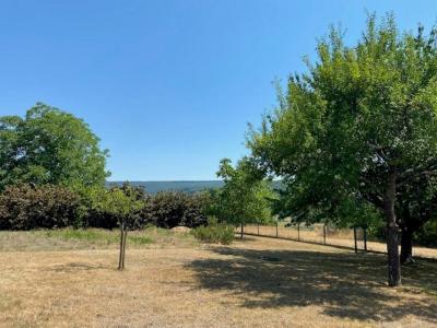 Acheter Maison 120 m2 Soultzmatt