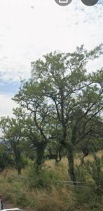 For sale Preny 5 rooms 94 m2 Meurthe et moselle (54530) photo 1