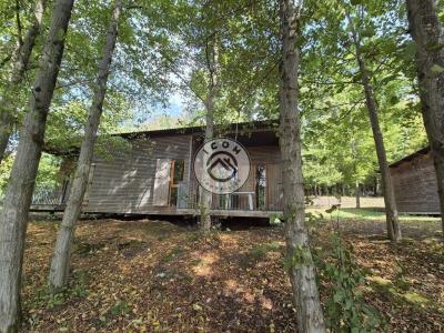 Annonce Vente 3 pi�ces Maison Eppe-sauvage 59