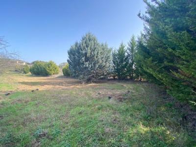 Acheter Terrain 4770 m2 Lorgues