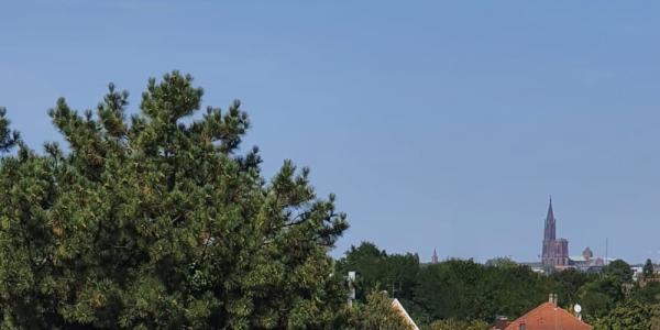 Acheter Programme neuf 67 m2 Illkirch-graffenstaden