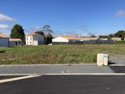 Annonce Vente Maison Corcoue-sur-logne 44